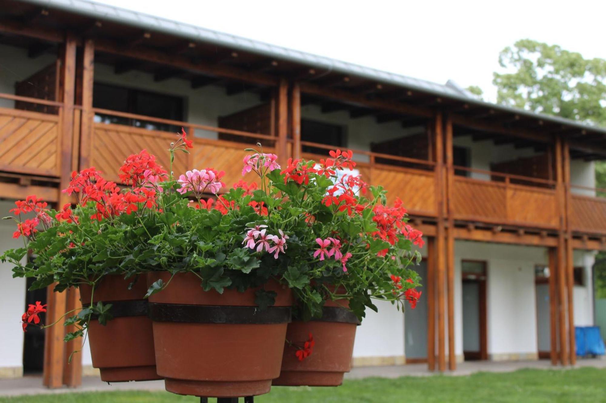 Foeveny Apartmanok Balatonfůzfő Extérieur photo